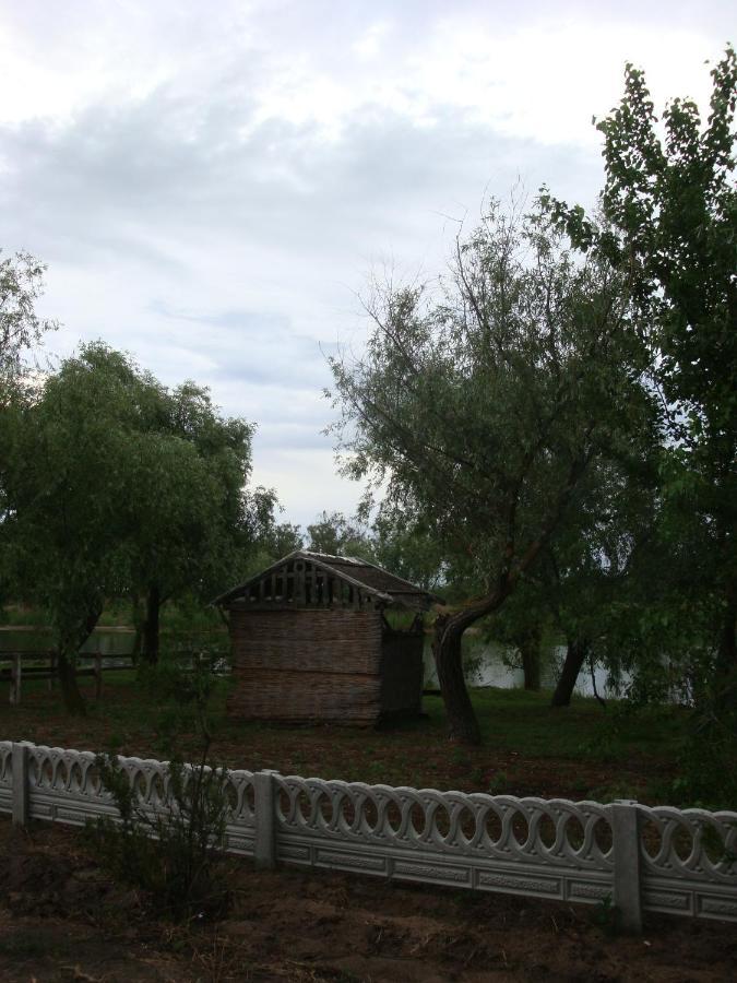 Збурьевский Кут Stara Zbur'yivka Extérieur photo